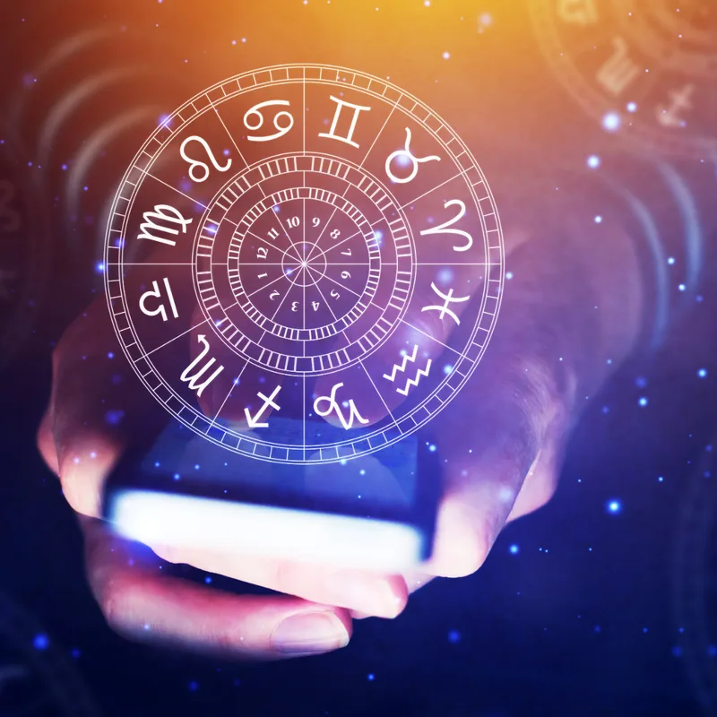 Indian astrologer in USA